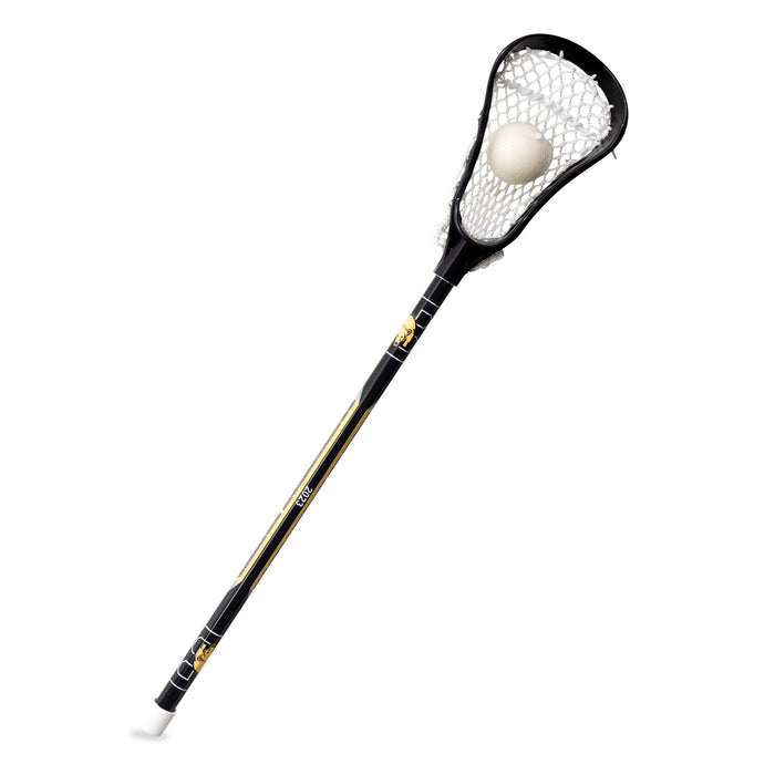 Custom mini lacrosse stick with team colors and artwork
